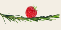Logo AT Alina Tapardel